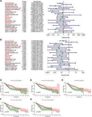 Construction and experimental verification of user-friendly molecular subtypes mediated by immune-associated genes in hepatocellular carcinoma